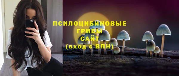 mdma Бородино