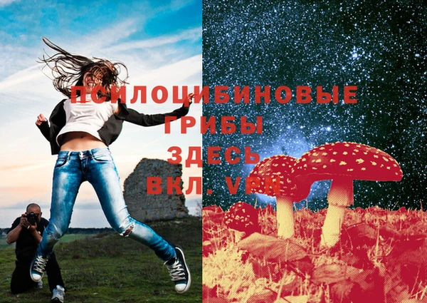 стафф Бугульма