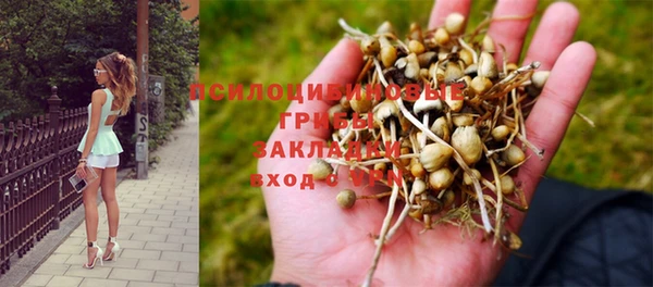 марки nbome Верхний Тагил