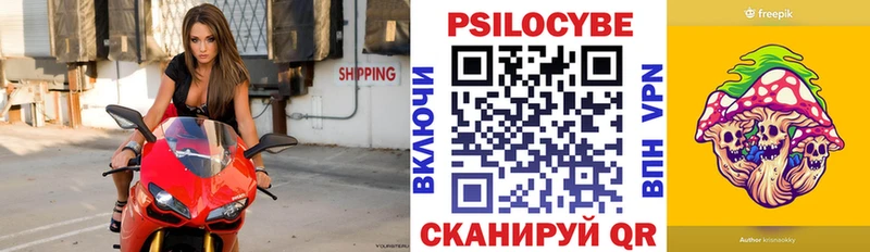 даркнет наркотические препараты  где можно купить наркотик  Гатчина  Псилоцибиновые грибы Psilocybe 
